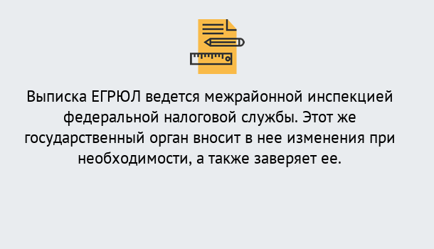 Почему нужно обратиться к нам? Отрадный Выписка ЕГРЮЛ в Отрадный ?