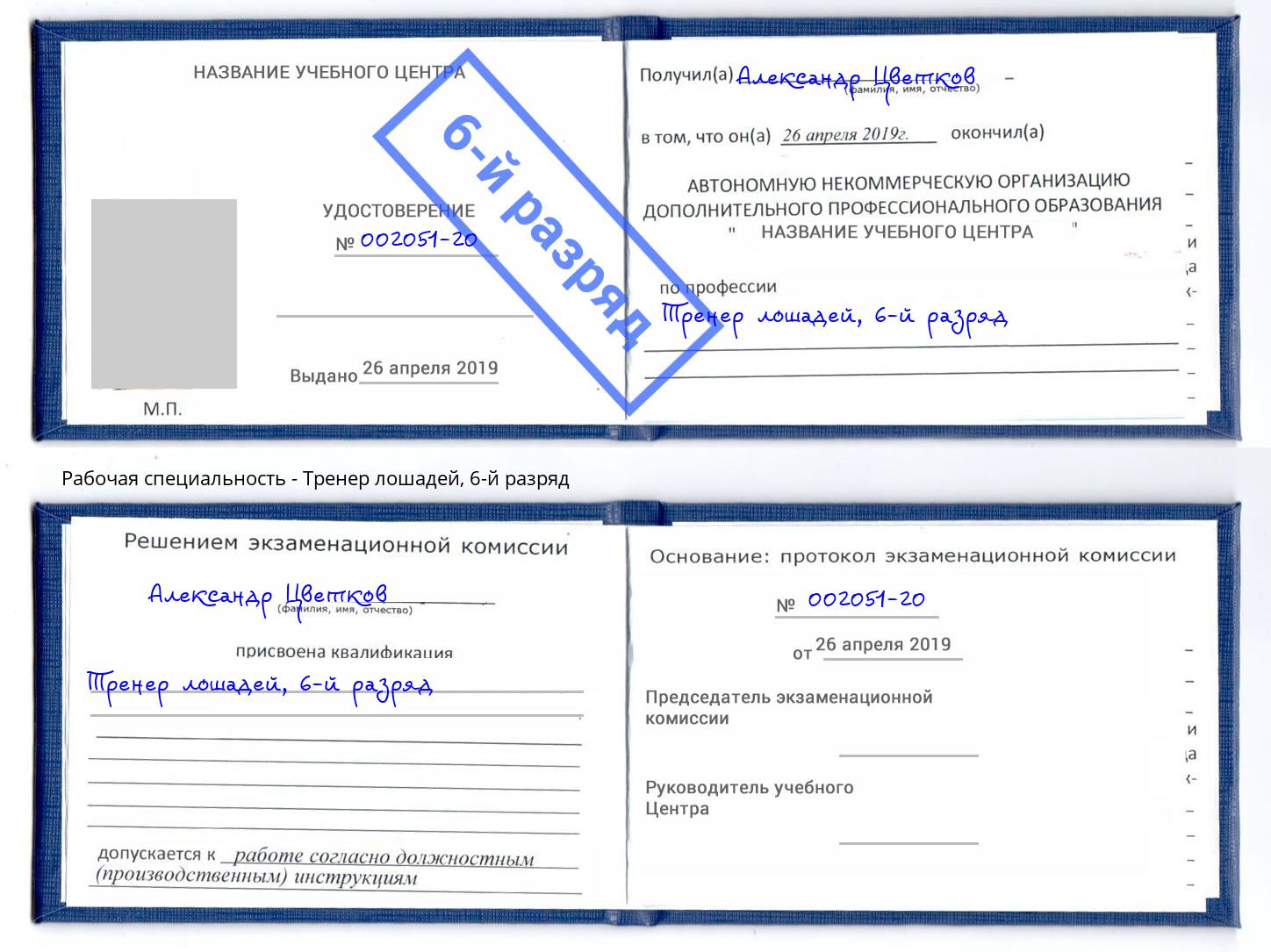 корочка 6-й разряд Тренер лошадей Отрадный