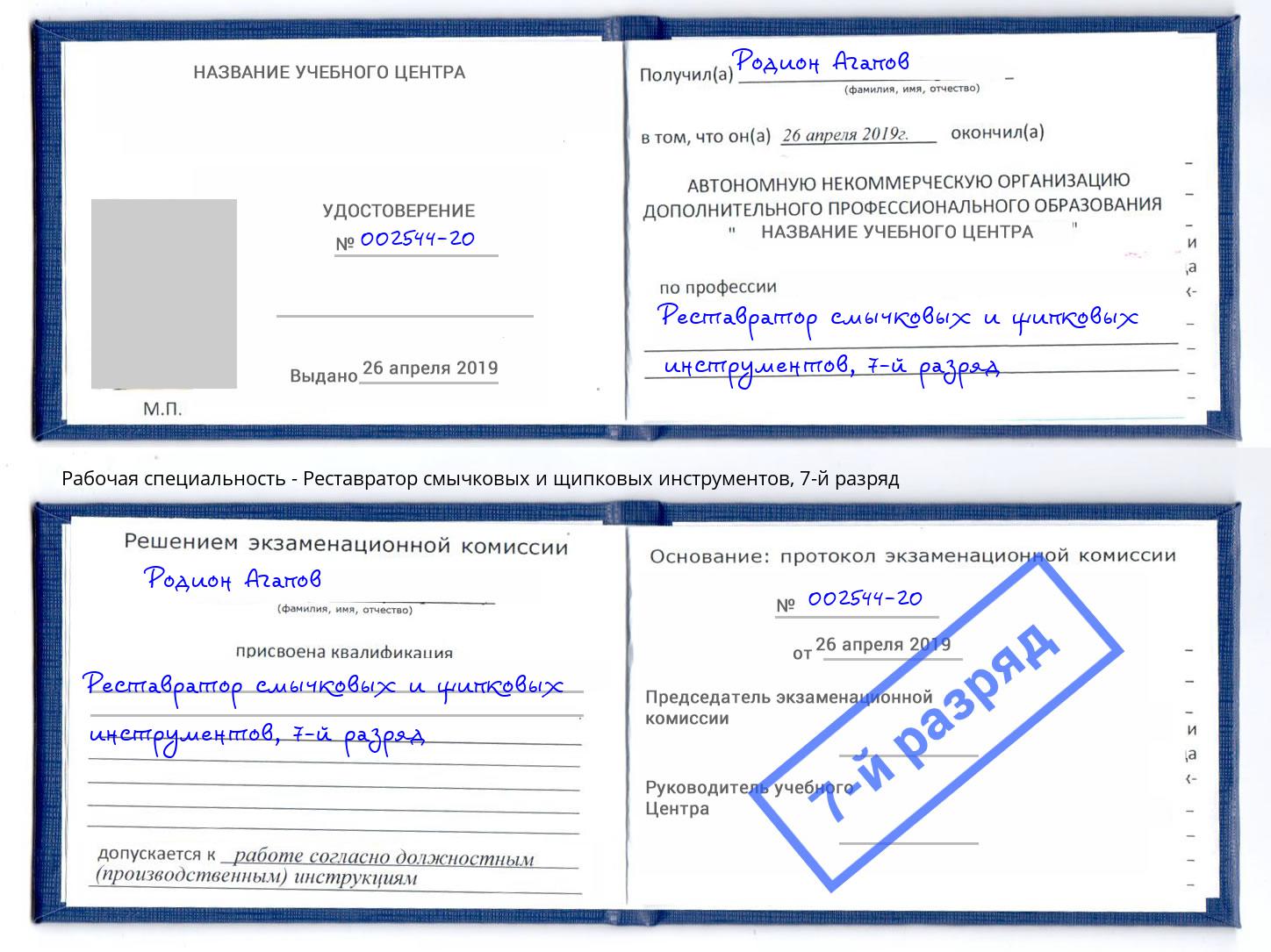 корочка 7-й разряд Реставратор смычковых и щипковых инструментов Отрадный