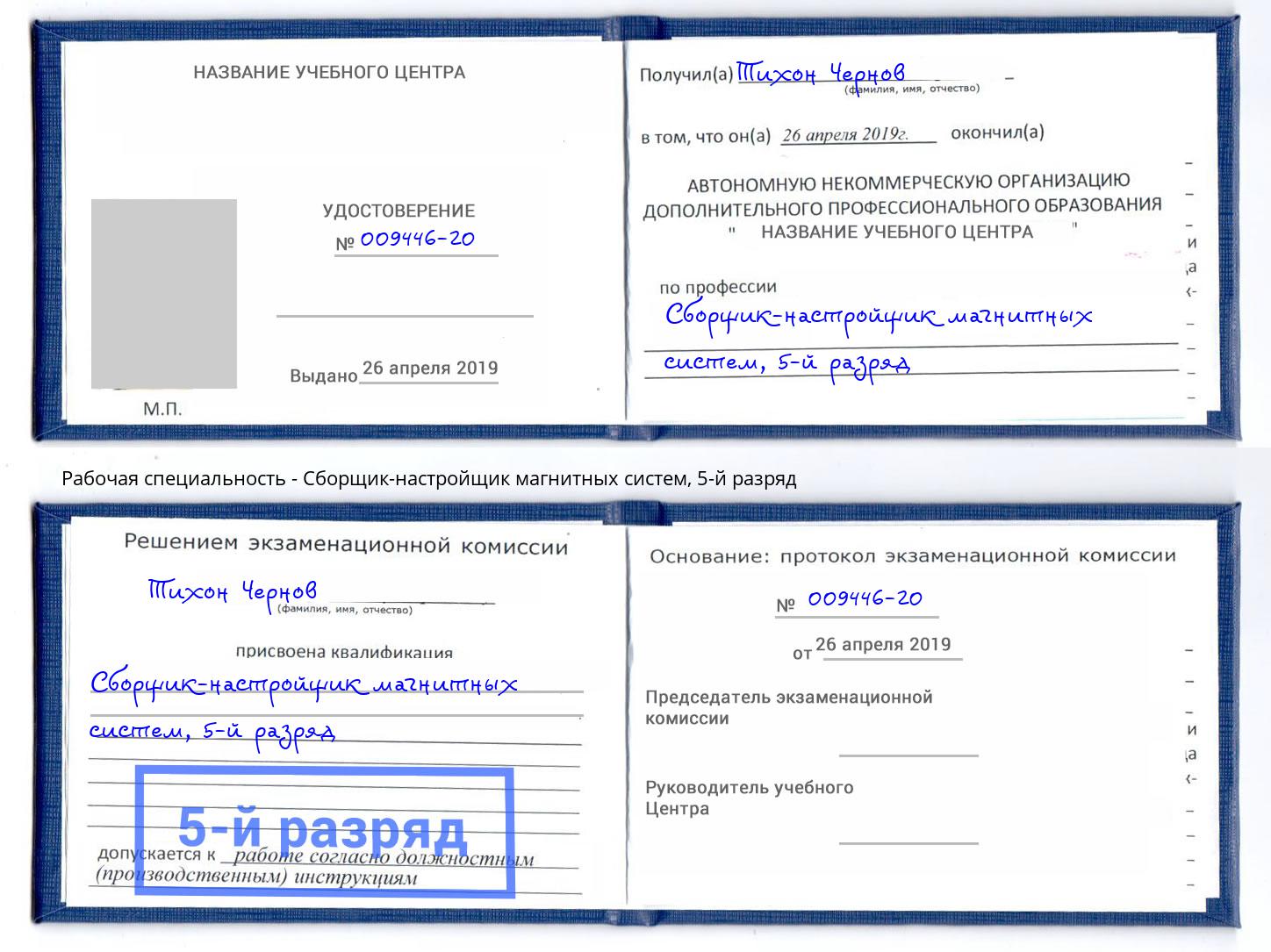 корочка 5-й разряд Сборщик-настройщик магнитных систем Отрадный